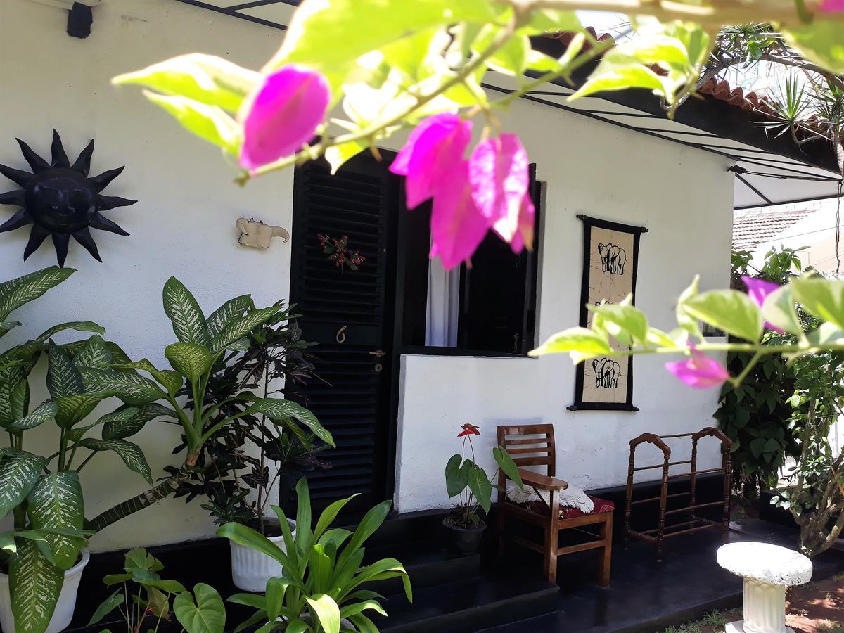 נגומבו The Icebear Guesthouse מראה חיצוני תמונה