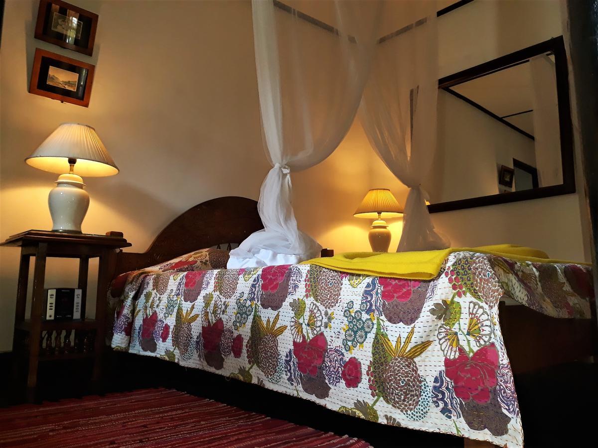 נגומבו The Icebear Guesthouse מראה חיצוני תמונה