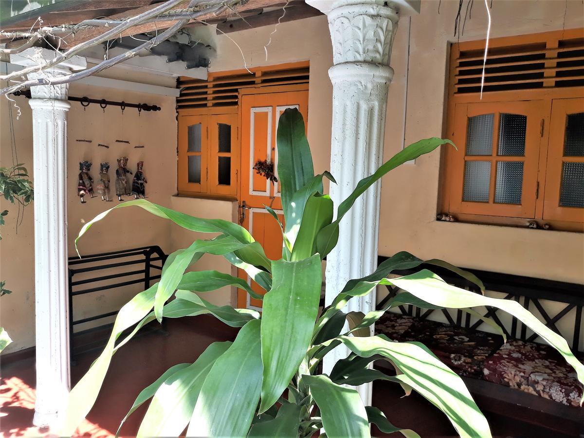 נגומבו The Icebear Guesthouse מראה חיצוני תמונה