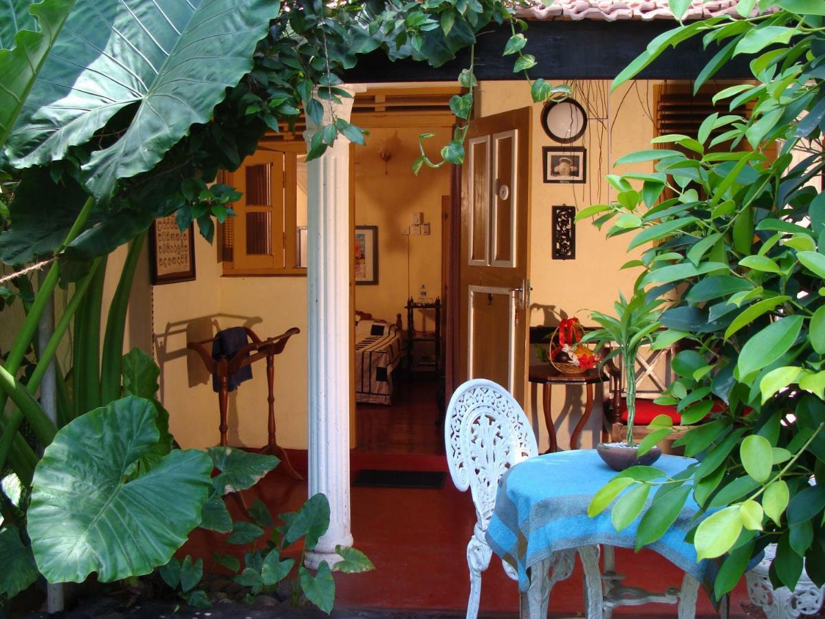 נגומבו The Icebear Guesthouse מראה חיצוני תמונה